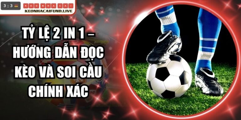 Tỷ Lệ 2 In 1